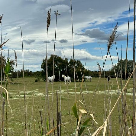 Le Mazet Sooksabai, Confort, Charme Et Decouverte En Petite Camargue Saint-Laurent-dʼAigouze 外观 照片